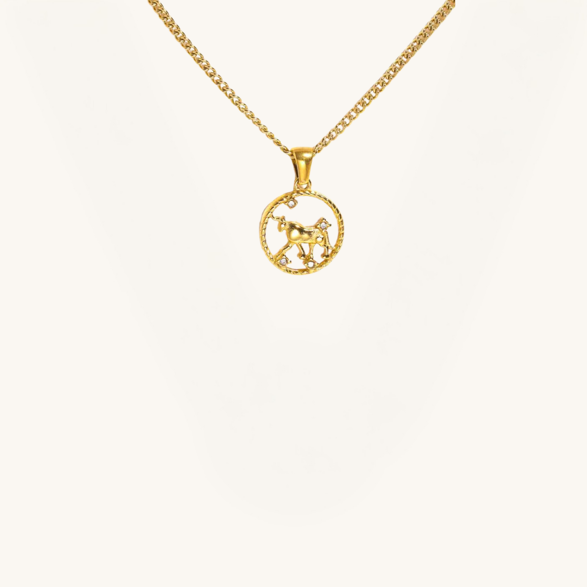 Zodiac necklaces