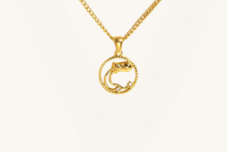 Zodiac necklaces