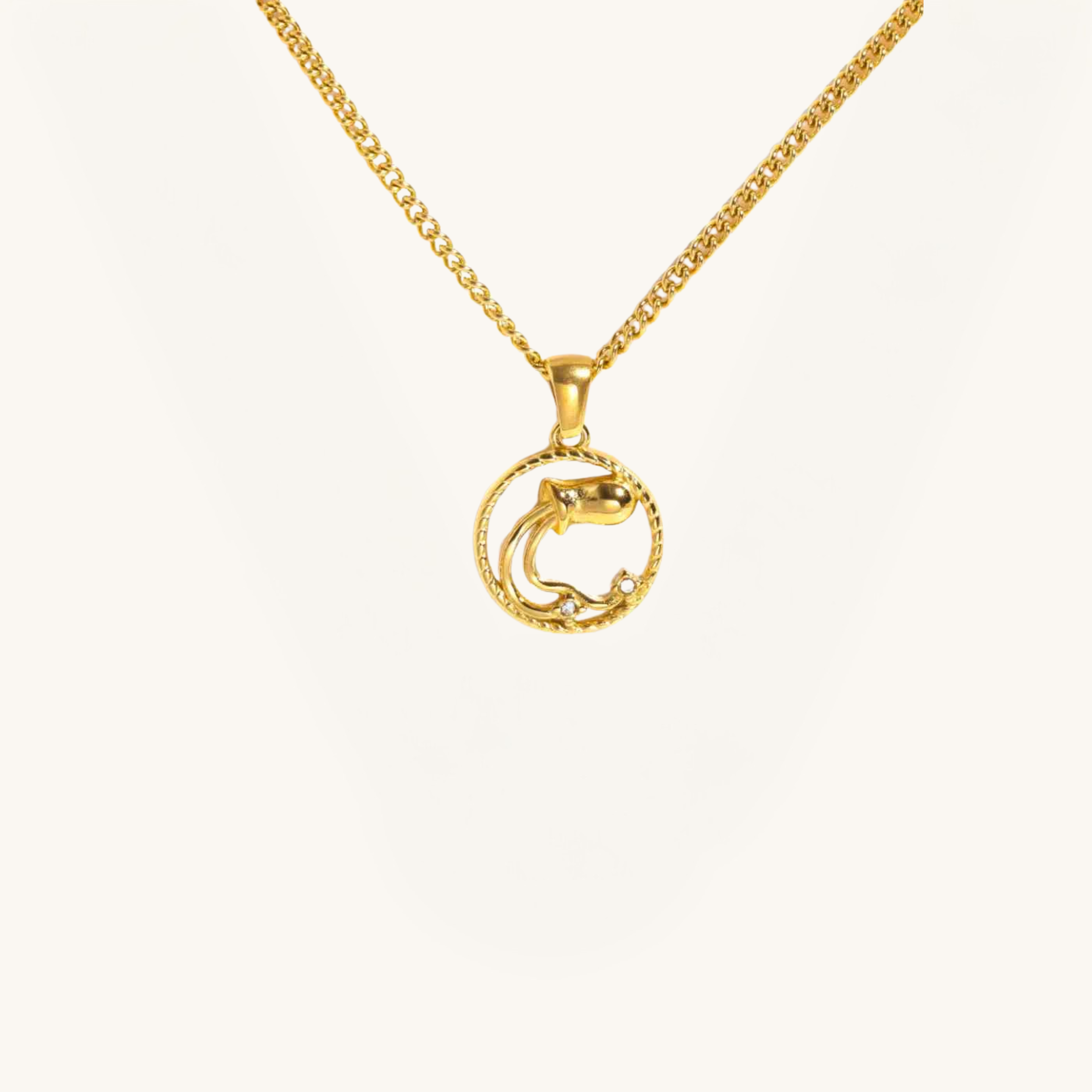 Zodiac necklaces