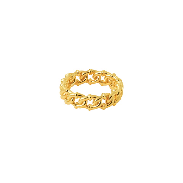 Hollow chain ring
