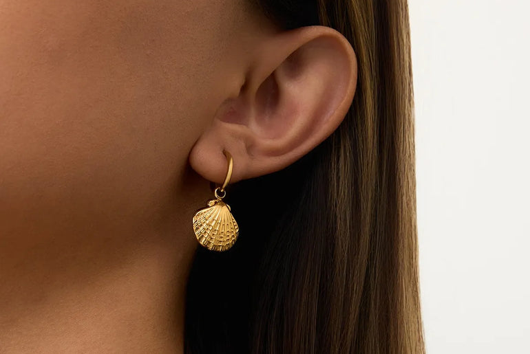 c133f204-5315-4a96-8708-b5f4477c403f-Max-Origin