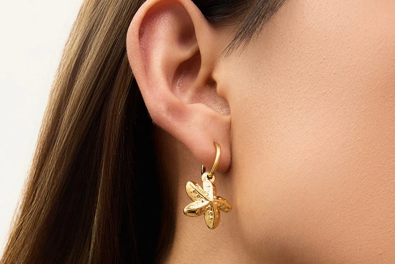 e8b7a424-7a84-4b01-8674-ce2e6b07f475-Max-Origin